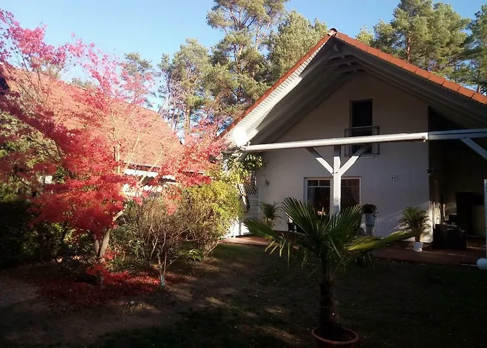 Ferienhaus Am Fleesensee *